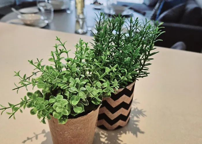 One Bedroom Apartment, Universal Residences