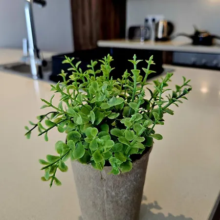 One Bedroom Apartment, Universal Residences 아파트 *