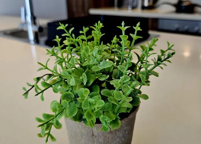 One Bedroom Apartment, Universal Residences Lejlighed *